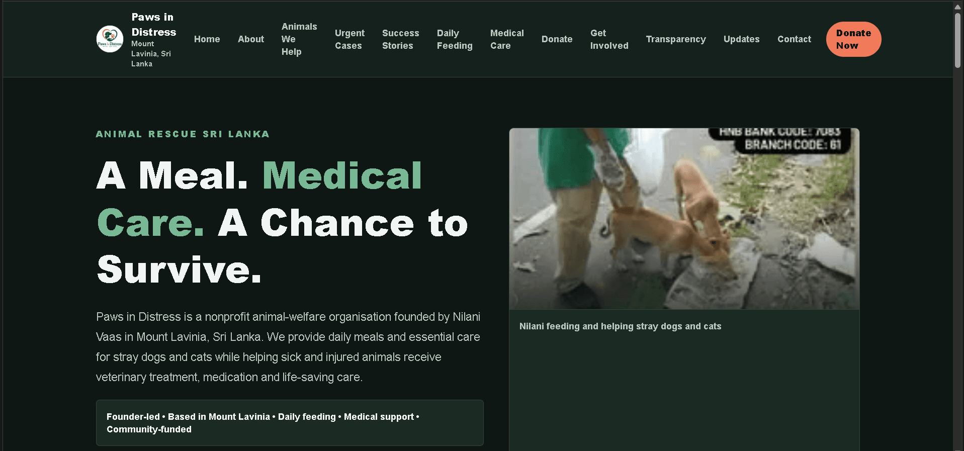Paws in Distress homepage screenshot showing the animal rescue donation website hero section